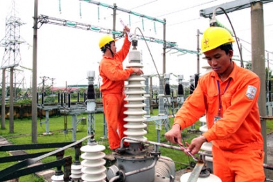 Thanh tra chính phủ: EVN lỗ vì đầu tư ngoài ngành, nghìn tỷ ở đâu?