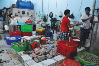 Giăm bông bẩn : Nhiều hóa chất không rõ nguồn gốc