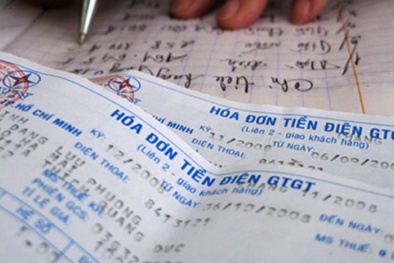 Tập đoàn điện lực 'phản pháo' kết luận Thanh tra Chính phủ