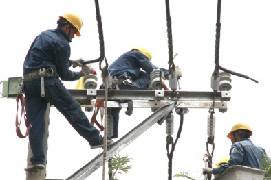 Thanh tra Chính phủ: Chỉ ra cái sai của EVN để họ sửa