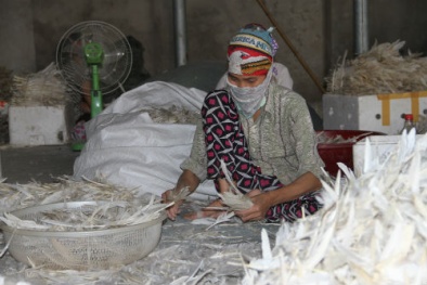 Xưởng thu gom lông vịt gây ô nhiễm môi trường