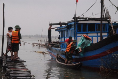 Cập nhật diễn biến bão số 11: Dân toát mồ hôi chống bão!