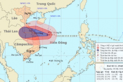 Cập nhật bão số 11: Bão cách biển Quảng Trị 280km