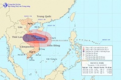 Đình hoãn các cuộc họp để tập trung phòng chống bão số 11