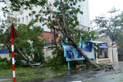 Cập nhật diễn biến bão số 11: Đà Nẵng tan hoang