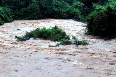 Tin lũ khẩn cấp: Sông miền trung sắp đồng loạt vượt báo động 3!