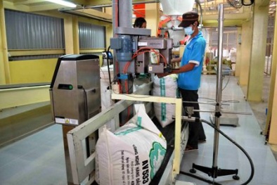 Phạt nặng vi phạm trong lĩnh vực thức ăn chăn nuôi 