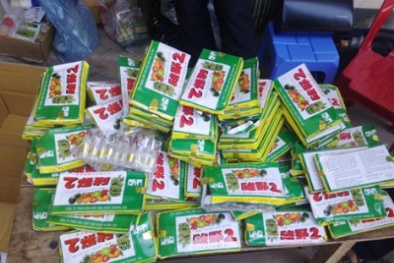 Thuốc ép chín trái cây độc đến mức nào?