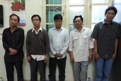 Băng nhóm chuyên trộm cắp ở Royal City