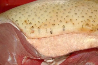 Hóa phép lợn siêu nạc thành lợn mán đặc sản