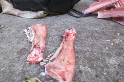 Cận cảnh ruồi bâu quanh xương ninh nước phở