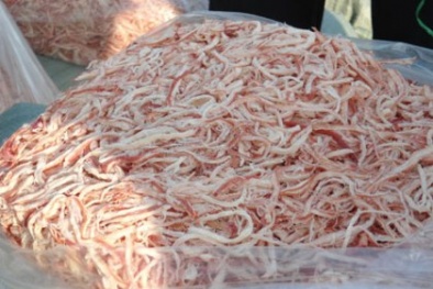 Phát hiện mực giả cao su