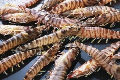 Nhiều công ty thực phẩm Nhật 'treo đầu dê, bán thịt chó'