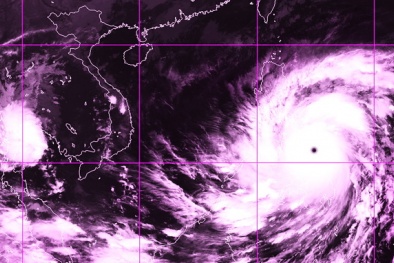Bão số 14 được đánh giá là bão có tính hủy diệt 