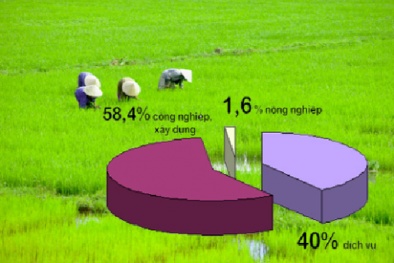 Thời của đầu tư nông nghiệp