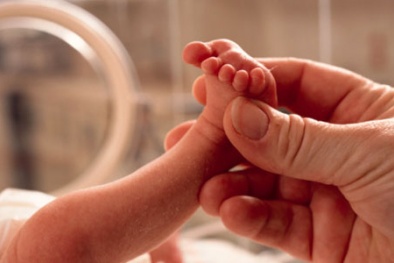 Phơi nhiễm chất Phthalates làm tăng nguy cơ sinh non