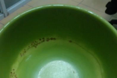 Phát hoảng bát nhựa thôi màu khi đựng đồ ăn