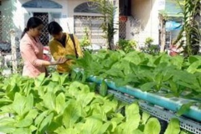 Chưa ai ra vành móng ngựa vì sản xuất thực phẩm không an toàn