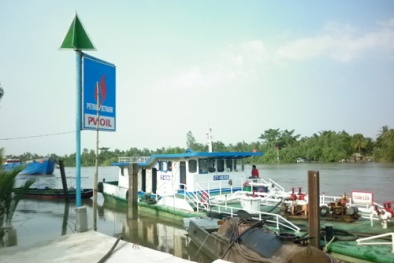 Nhiều doanh nghiệp mua bán xăng dầu trốn thuế