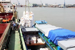 Việt Nam xuất 500.000 tấn gạo sang Philippines