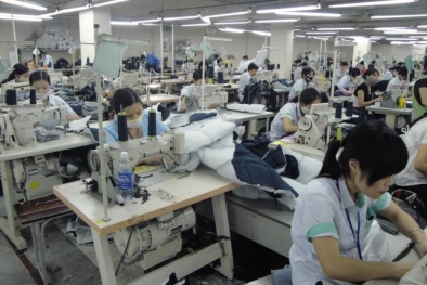 Thị trường lao động cuối năm ảm đạm