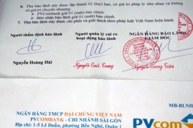 Làm giả chứng thư bảo lãnh của ngân hàng lừa đảo