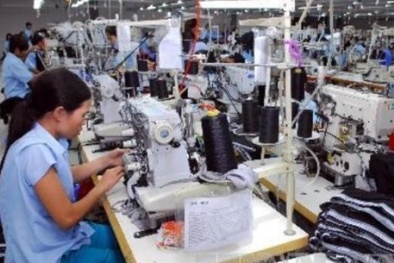 WB: Tăng trưởng GDP là 'điểm sáng' của kinh tế Việt Nam