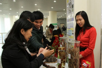 Xây dựng ngân hàng để bảo tồn nguồn gen