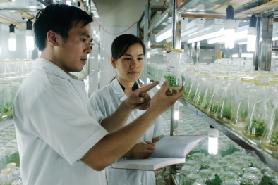 Đề án V-KIST sẽ hoàn tất trước năm 2014