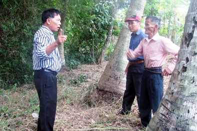 Hoảng hồn gặp lại đồng đội do mình chôn cất