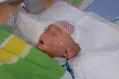 Tiếp vụ bé trai 2 tuổi bị ném từ tầng 25: Thoát chết kỳ diệu