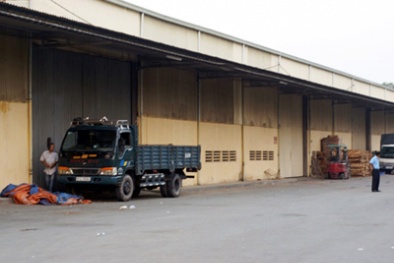 Một kho cà phê qua mặt 7 ngân hàng: Kịch bản chi tiết chống xiết hàng