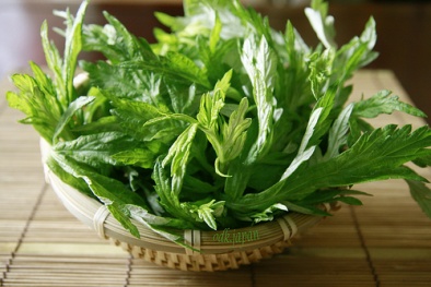 Những tác dụng chữa bệnh của ngải cứu có thể bạn chưa biết