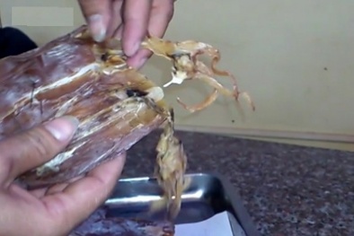 Mực khô làm từ nhựa có ở Hà Nội chỉ là tin đồn?