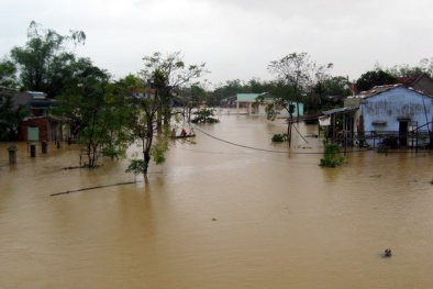 Quảng Nam: Lo lắng trước việc thủy điện xả lũ và nuôi tôm trên cát