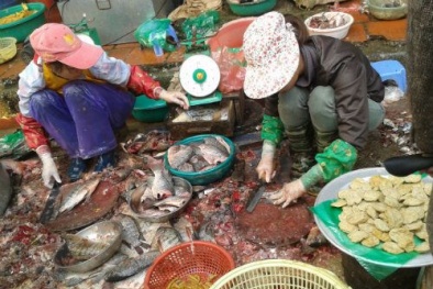 Kinh hãi cá, gà làm thịt ở chợ