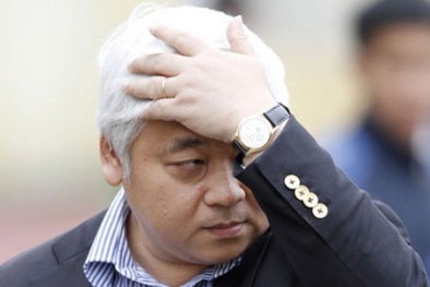 Bầu kiên gây thiệt hại nghìn tỷ như thế nào?