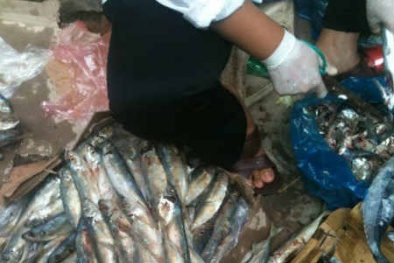 Cẩn thận cá nục “siêu rẻ”