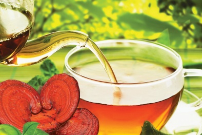 Trà nấm linh chi nâng cao đề kháng, chống lão hóa