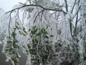 Không khí lạnh cường độ mạnh: rét đậm, rét hại diện rộng