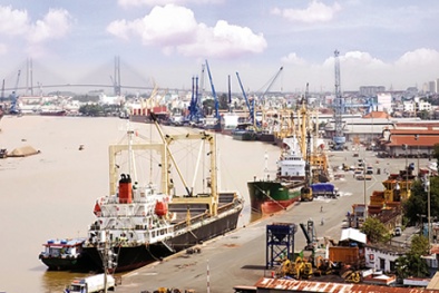 Tập đoàn Vạn Thịnh Phát liên quan Dương Chí Dũng như thế nào?