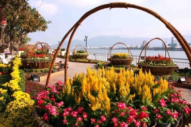 Đà Nẵng rực rỡ đường hoa đón Tết 2014