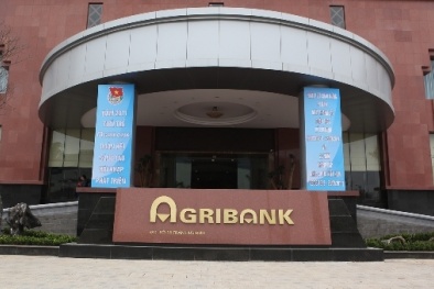Vì sao nguyên Phó Tổng Giám đốc Agribank bị bắt giam?