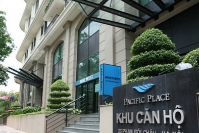 Anh em Dương Chí Dũng ngồi tù: Hé lộ cuộc sống bồ nhí, con riêng