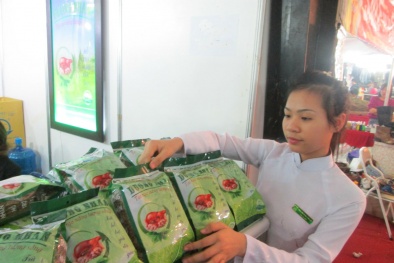 Bài thuốc quý từ cây Dường Nhân cứu người mang bệnh gan