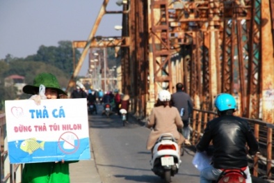 Thả cá chép xin đừng thả túi nilon!