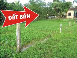 Có thể ủy quyền cho người khác chuyển nhượng đất trồng cây lâu năm?