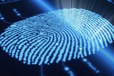 Phá án tình 'độc nhất, vô nhị' bằng dấu vân tay