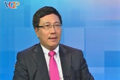 Phó Thủ tướng Phạm Bình Minh nói gì về 'thấy đoàn Việt Nam đến là sợ'?