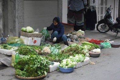 Rau xanh đắt khách 